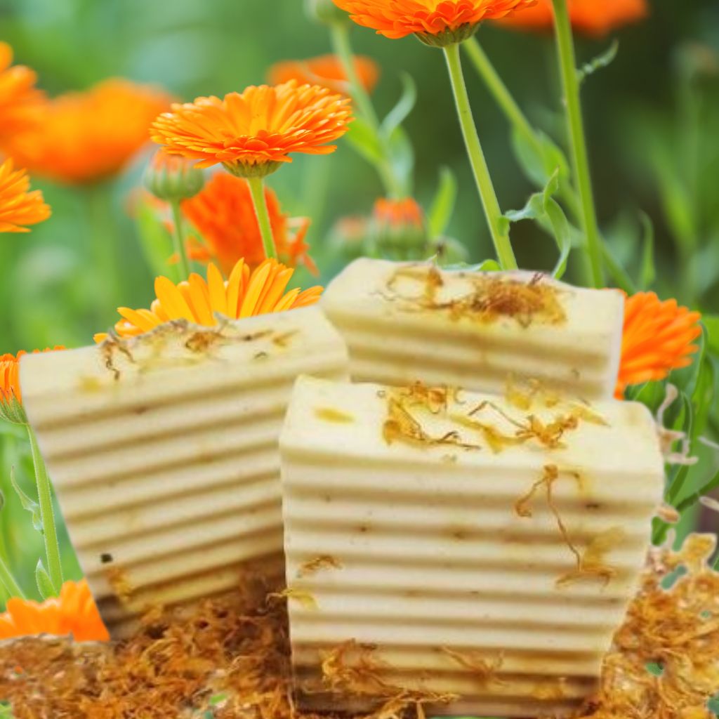 Calendula &amp; Donkey Milk Soap